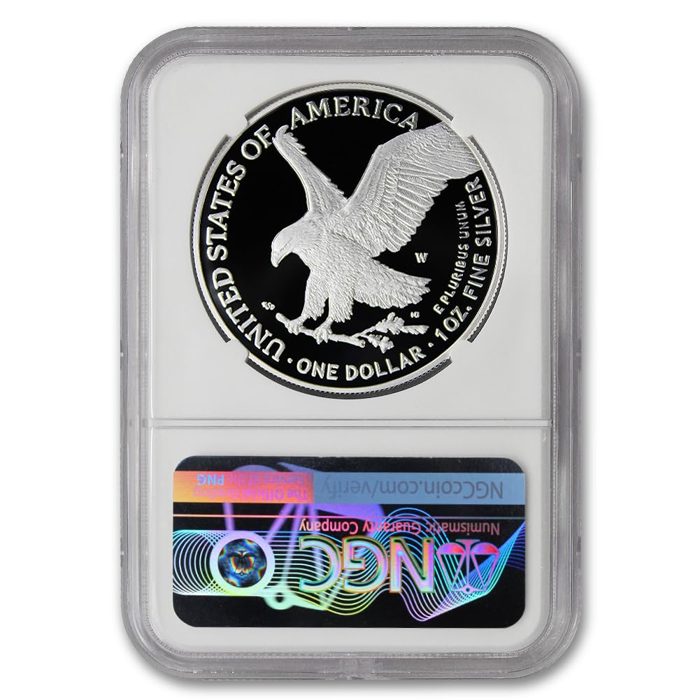 1 oz American Silver Eagle Coin C625
