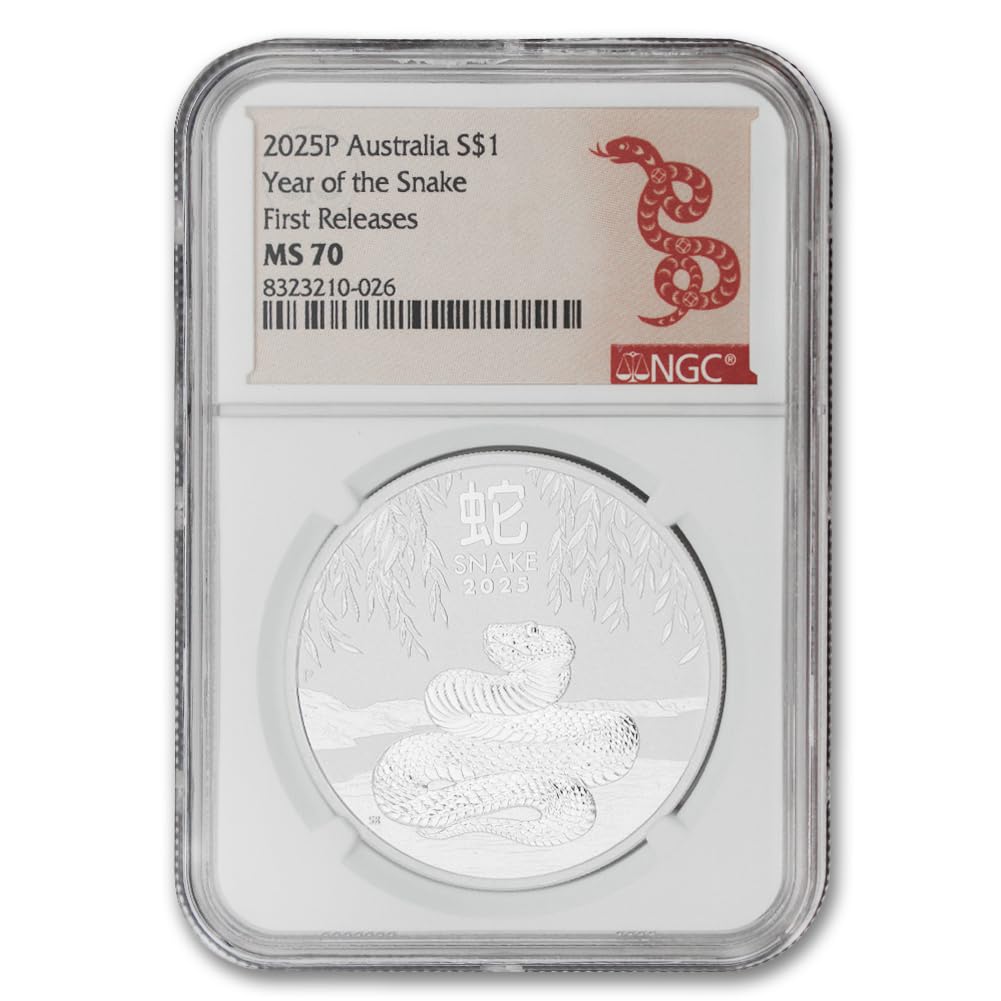 1 oz Silver Year of the Snake Coin R991154