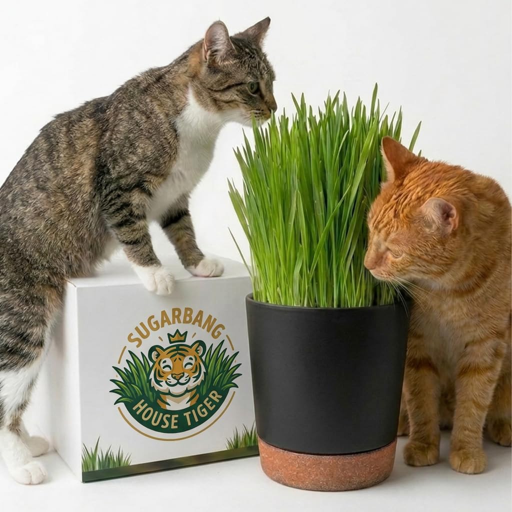 Cat Grass Growing Kit with 3-Pack Refill Z48383