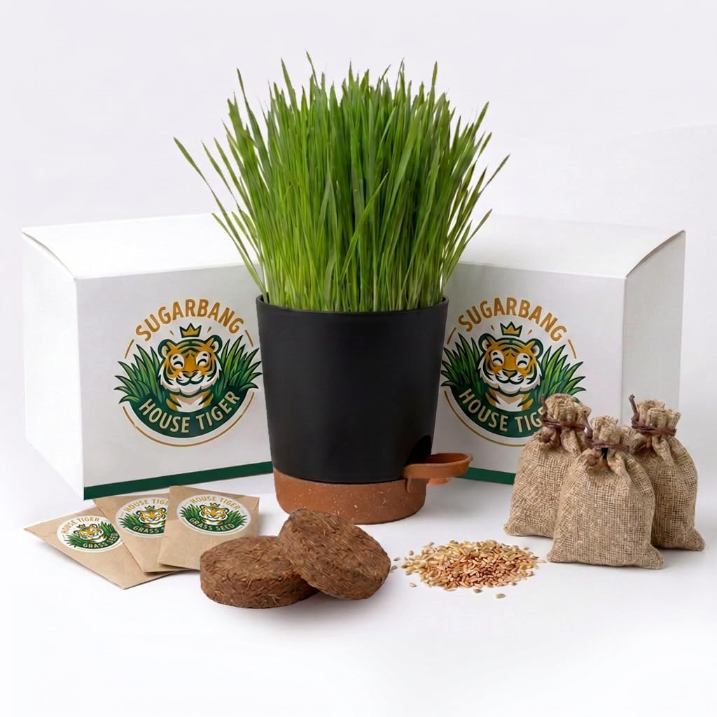 Cat Grass Growing Kit with 3-Pack Refill Z48383