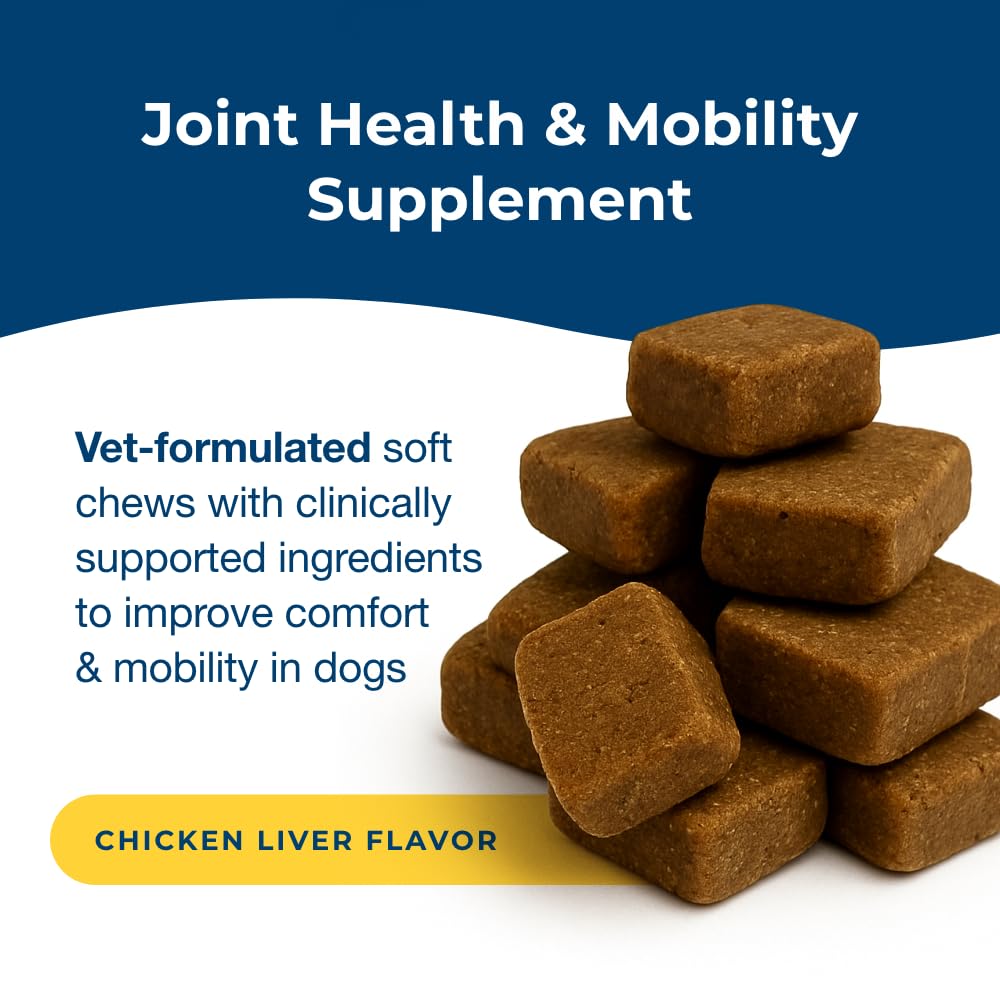 Joint Health & Mobility Soft Chews for Dogs 45 Count K8348