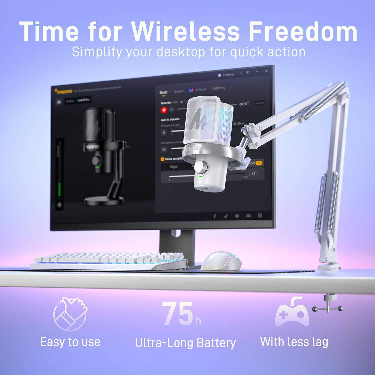Wireless Condenser Microphone with Boom Arm N81114