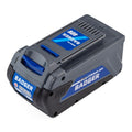 Cordless 40 Volt 5.0 Ah Battery Q165786