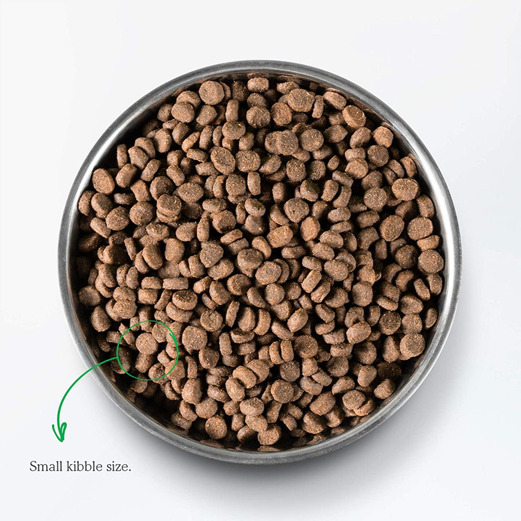 Grain Free Dry Cat Food Whitefish Kibble 2lb Bag F22771