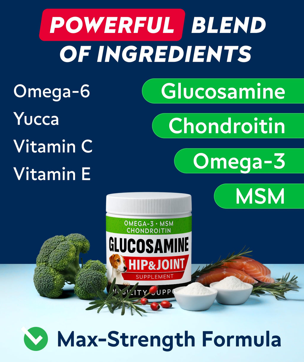 Glucosamine Chondroitin MSM Hip Joint Supplement Chews T475