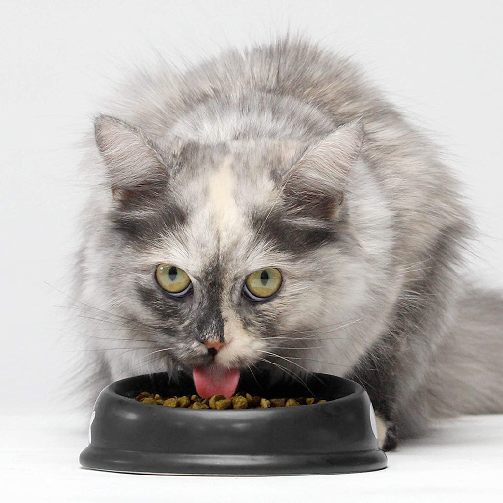 Grain Free Dry Cat Food Whitefish Kibble 2lb Bag F22771