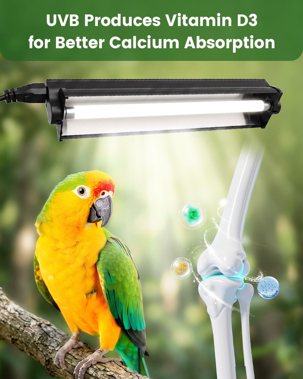 8W Bird Lamp S10036