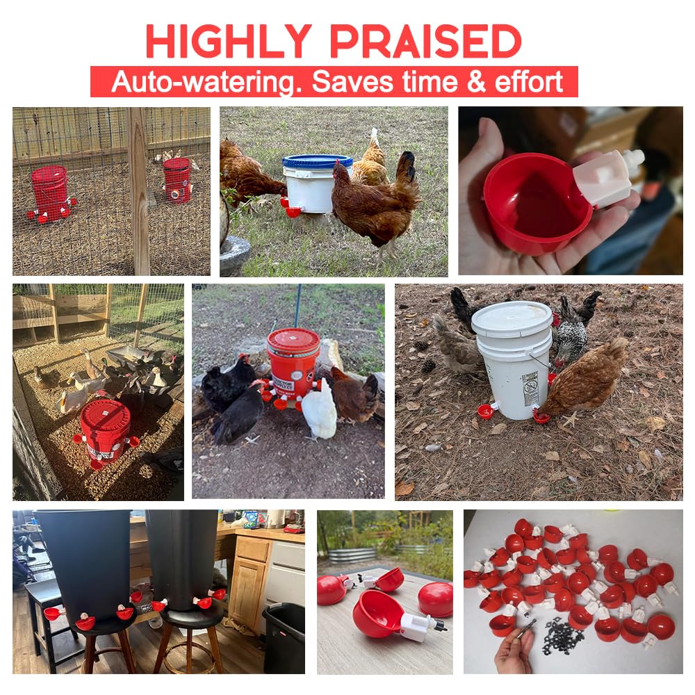 32 Pack Automatic Poultry Waterer Cups with Mounting Hole Opener P528