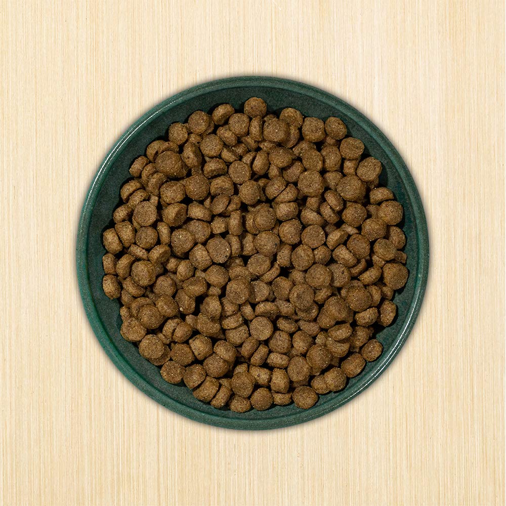 Dry Dog Food 23% Protein Chicken & Brown Rice 12-lb Bag T557