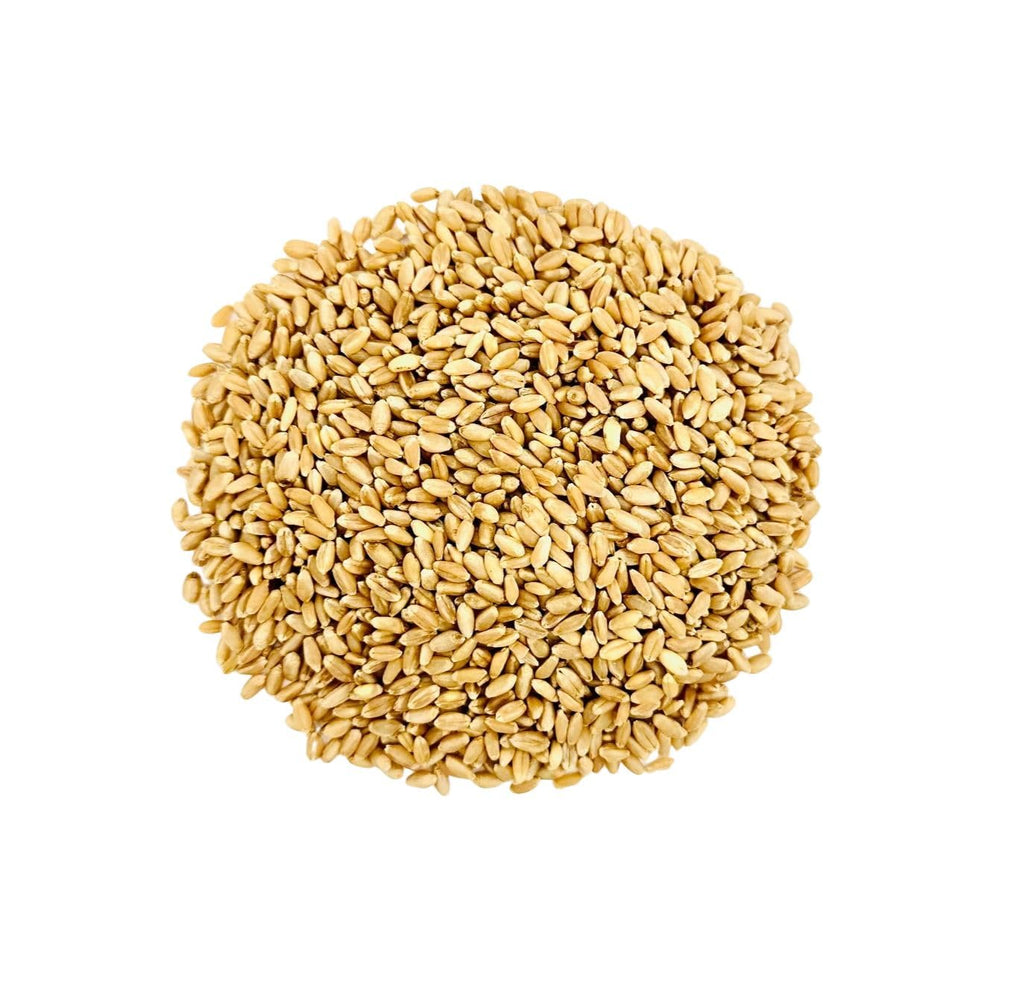 Hard White Wheat Berries 25 lb Bulk Non GMO K547123