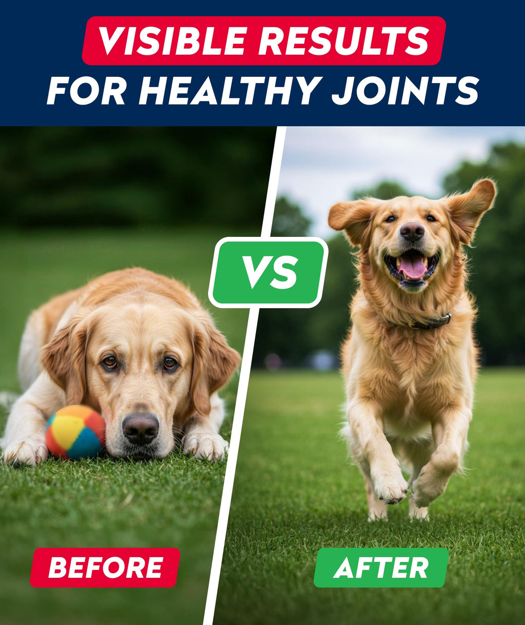 Glucosamine Chondroitin MSM Hip Joint Supplement Chews T475