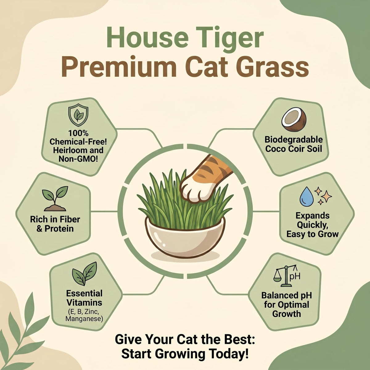 Cat Grass Growing Kit with 3-Pack Refill Z48383