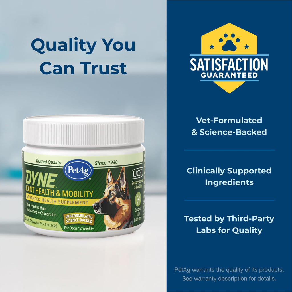 Joint Health & Mobility Soft Chews for Dogs 45 Count K8348