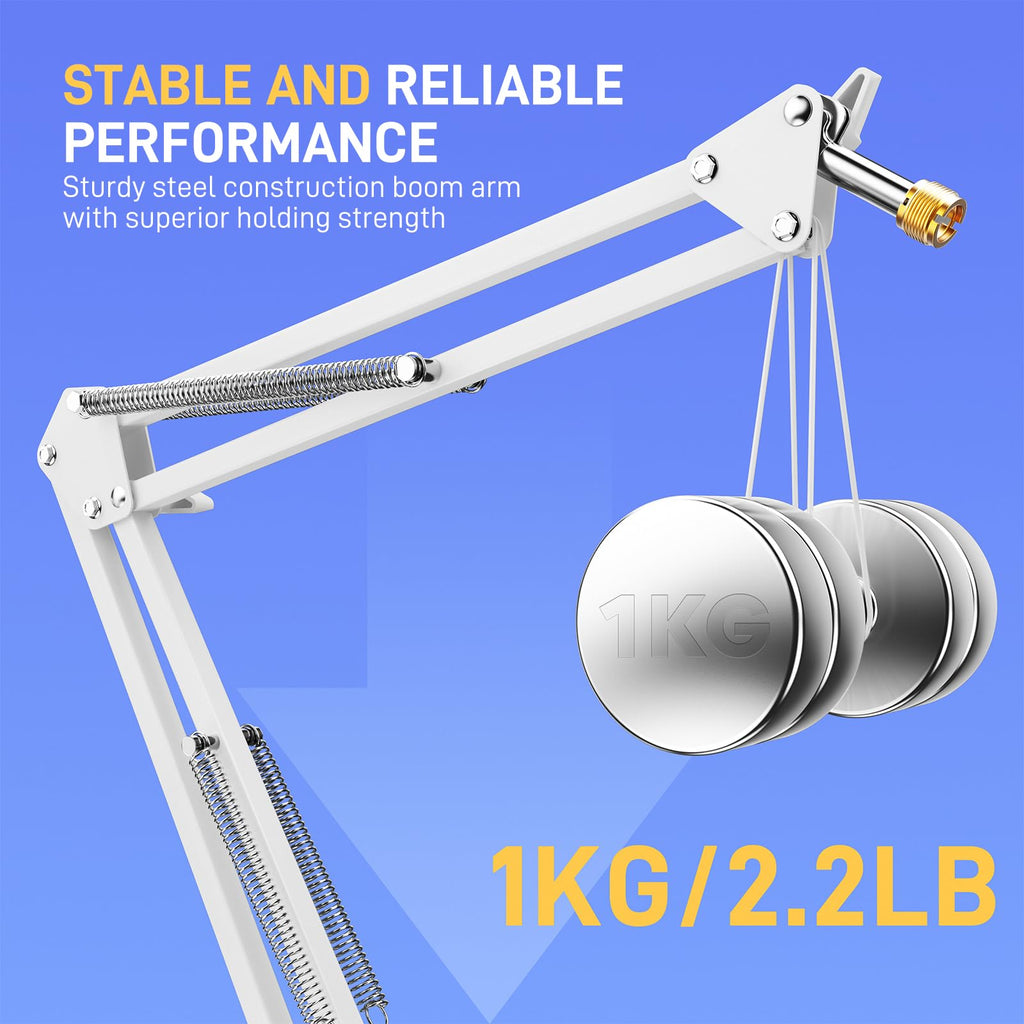 Wireless Condenser Microphone with Boom Arm N81114