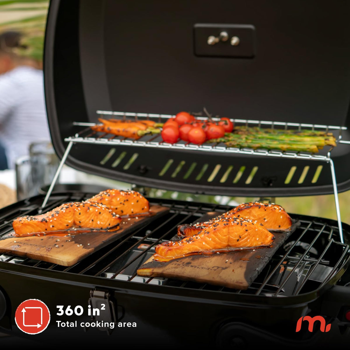 Tabletop 1 Burner Gas Grill with Warming Rack Y1788