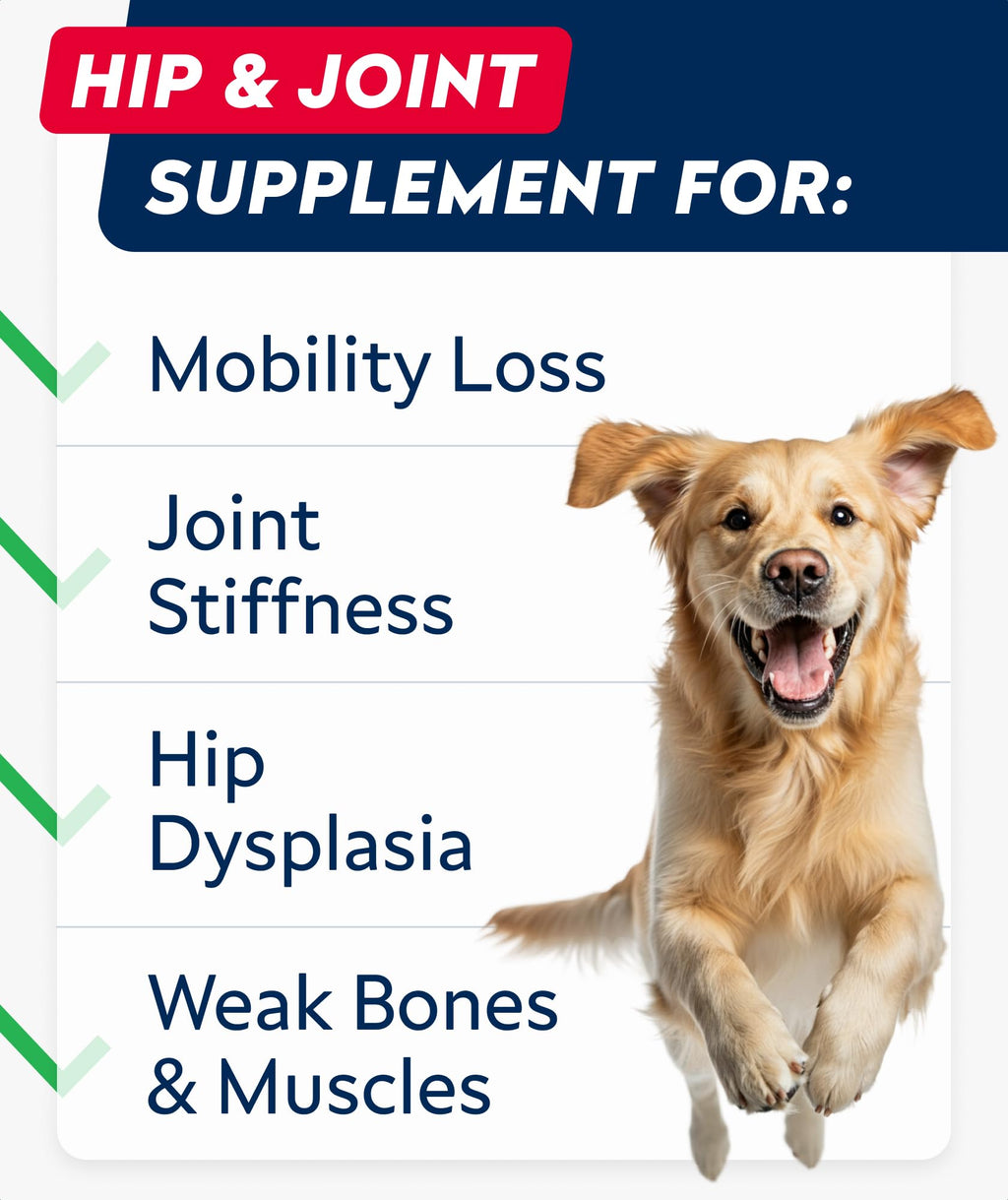 Glucosamine Chondroitin MSM Hip Joint Supplement Chews T475