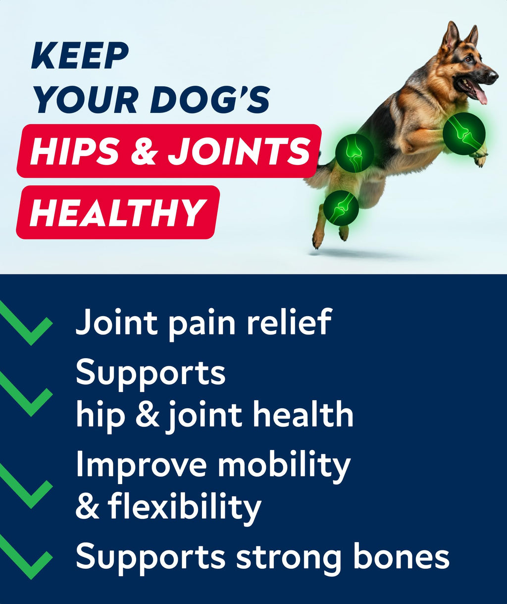 Glucosamine Chondroitin MSM Hip Joint Supplement Chews T475