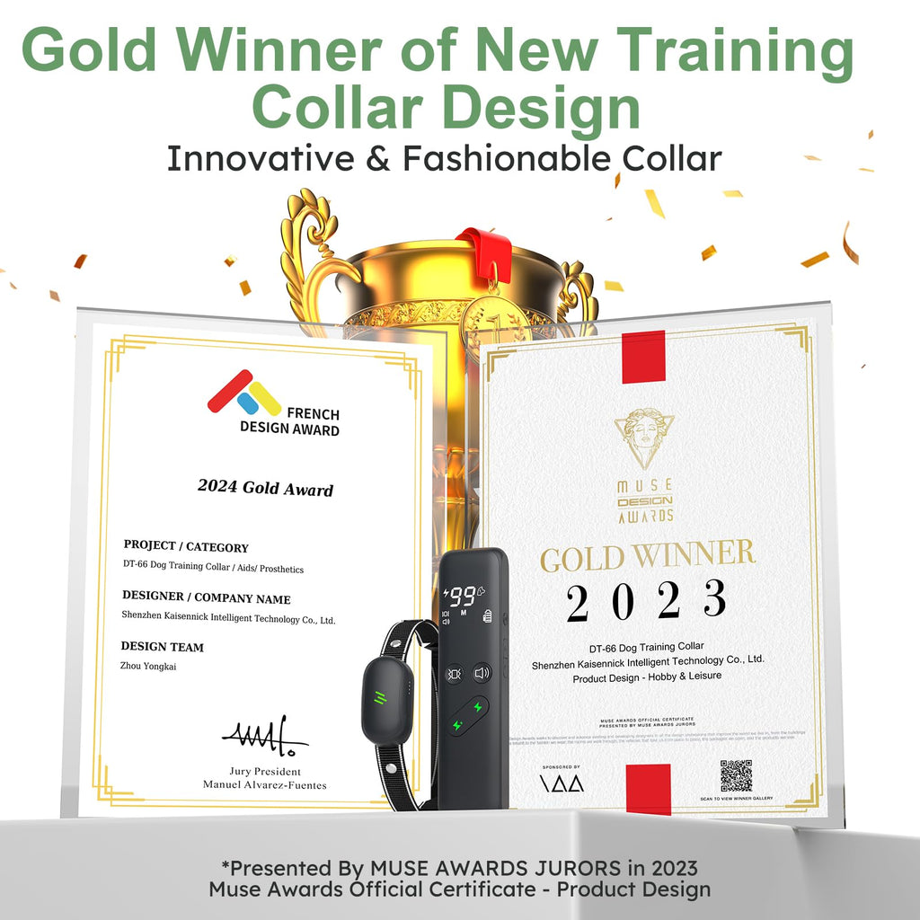 Dog Electric Training Collar with Remote I8156