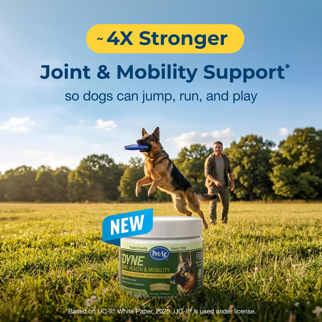 Joint Health & Mobility Soft Chews for Dogs 45 Count K8348