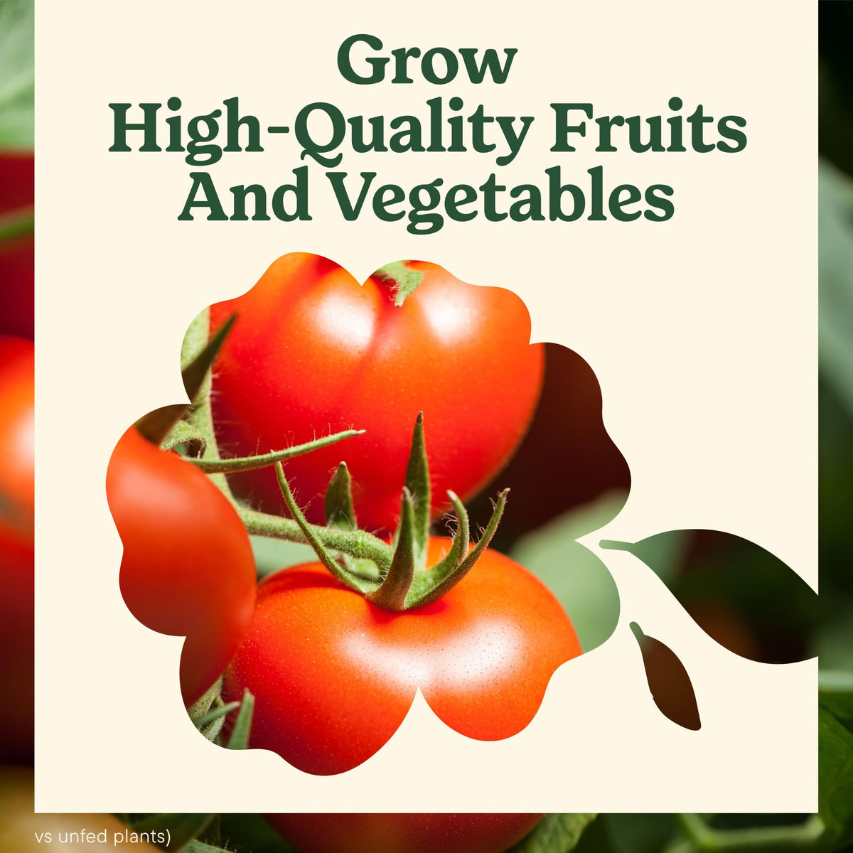 Tomato Fruits and Vegetables Plant Food 2-Pack W6674