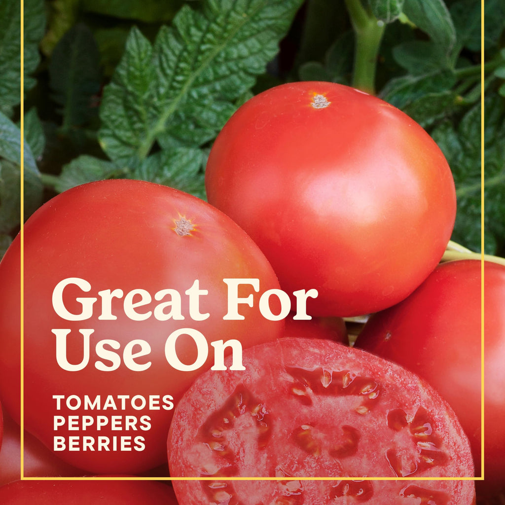 Tomato Fruits and Vegetables Plant Food 2-Pack W6674