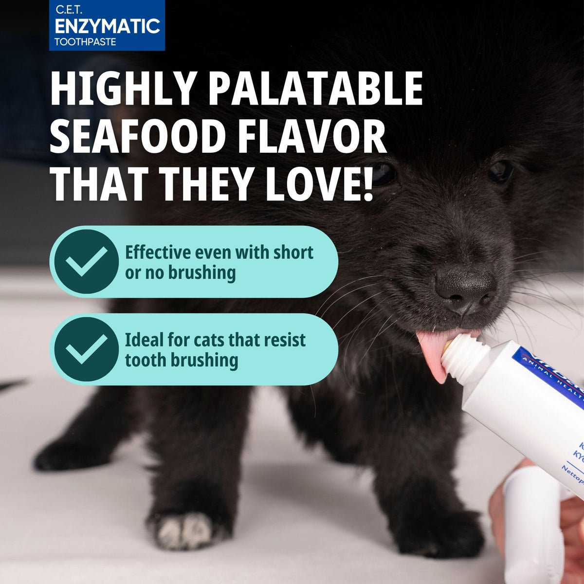Seafood flavor Cat Toothpaste with Toothbrush K583216