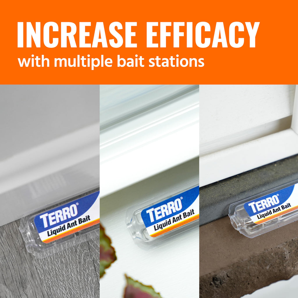 Liquid Ant Killer Bait Stations 12-Pack C30518