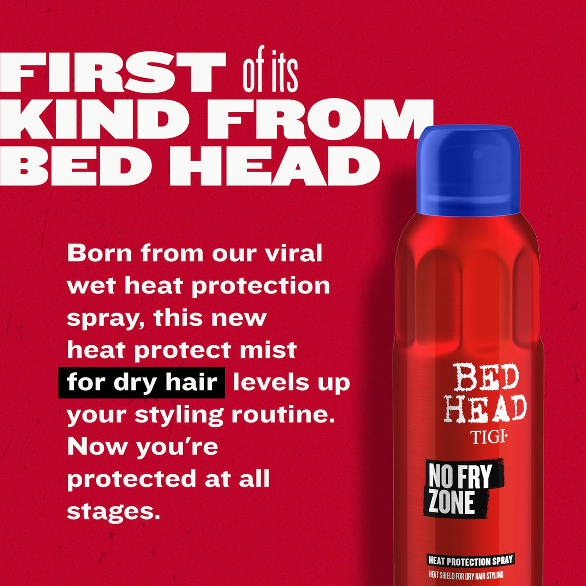 Heat Protectant Mist, 4.5 oz D85287