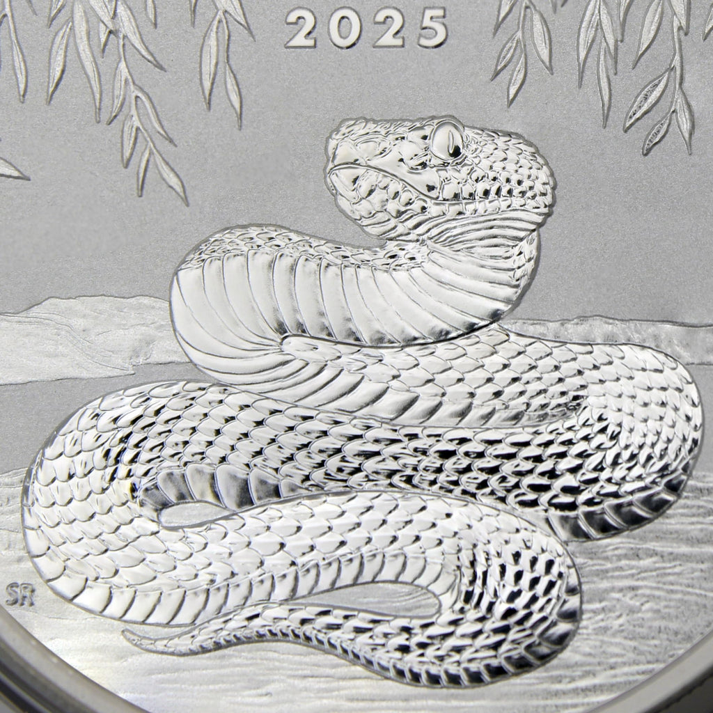 1 oz Silver Year of the Snake Coin R991154