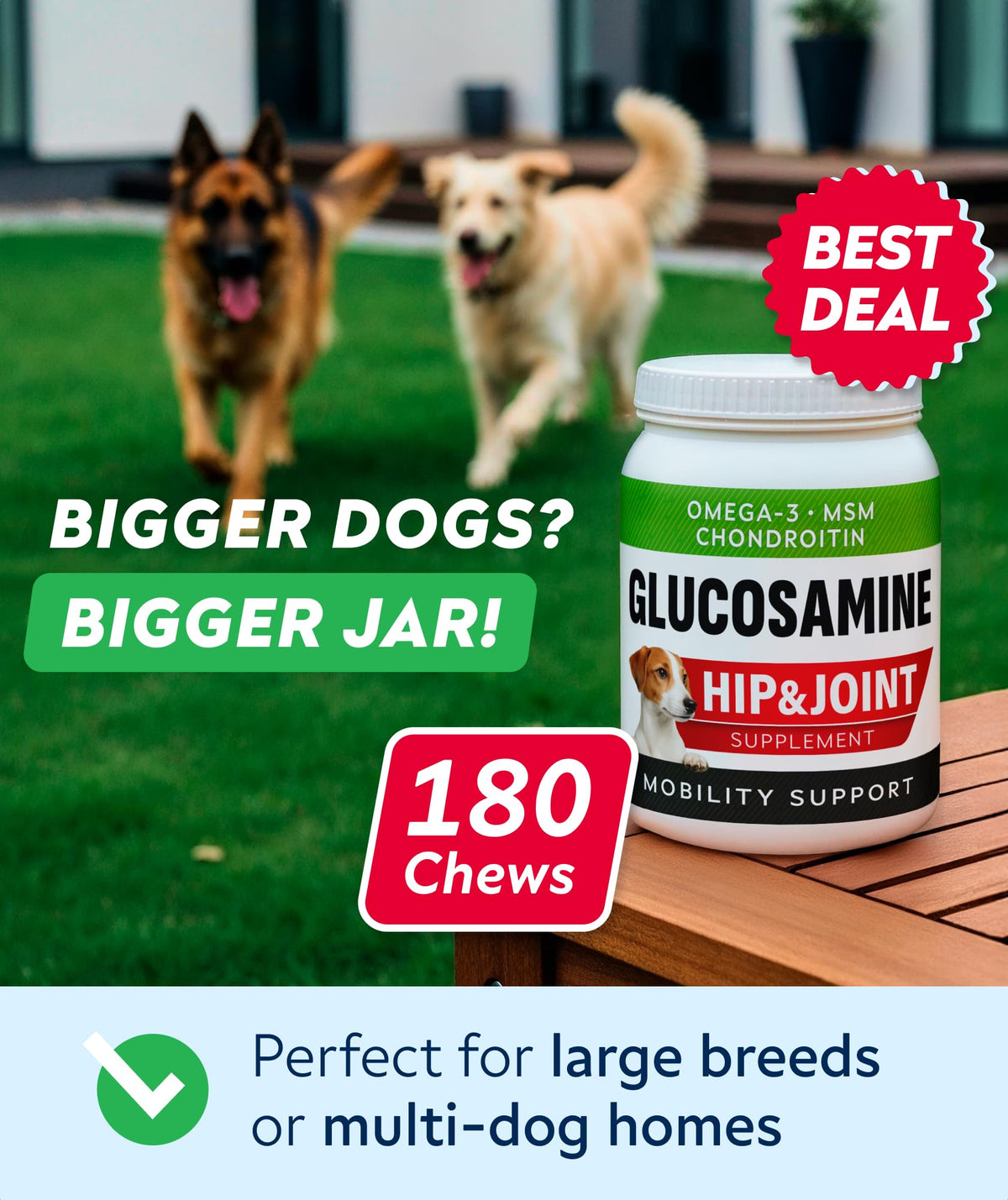 Glucosamine Chondroitin MSM Hip Joint Supplement Chews T475