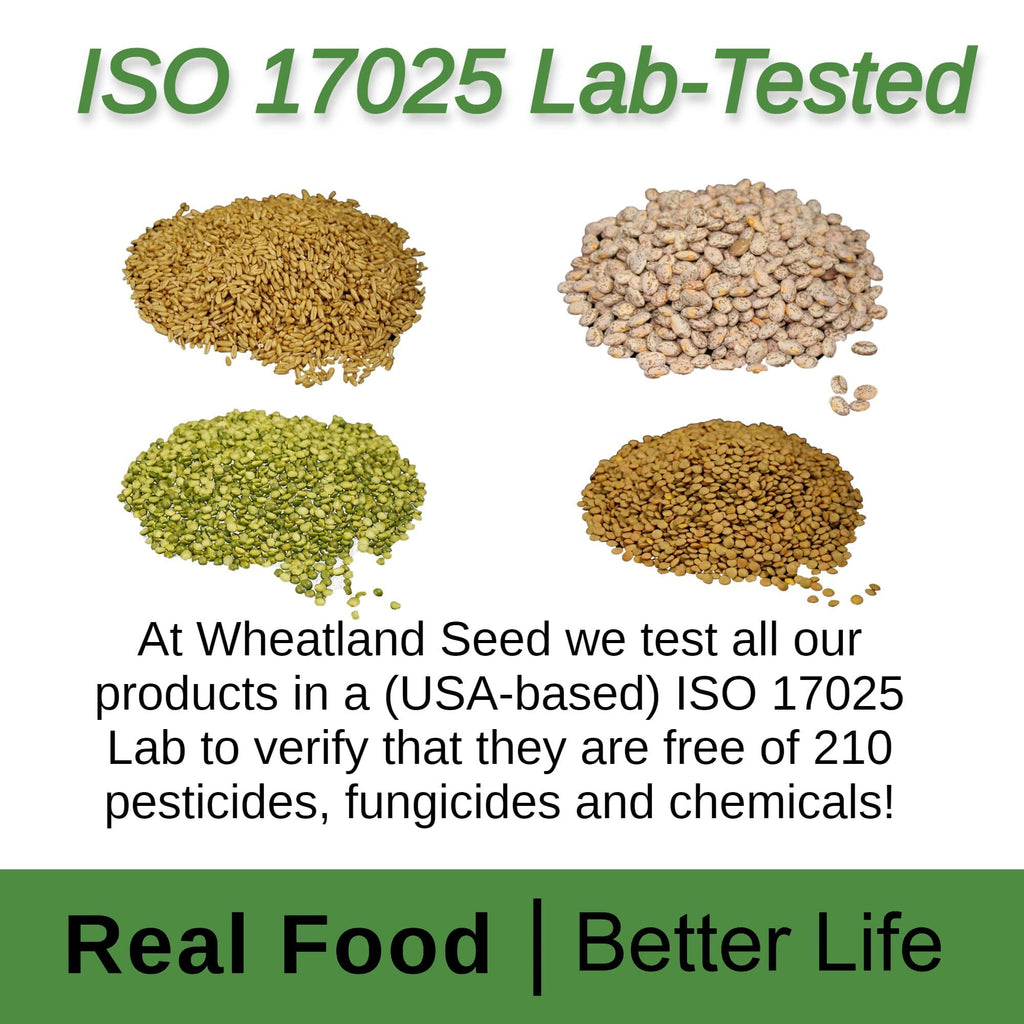 Hard White Wheat Berries 25 lb Bulk Non GMO K547123