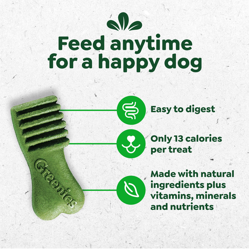 Blueberry Flavor Dog Treats 10.3 oz V4033